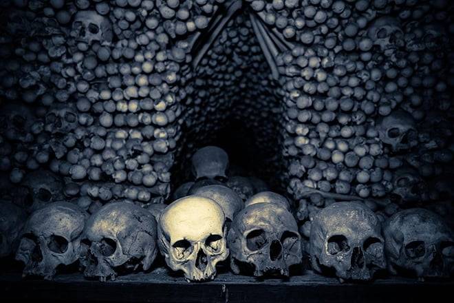Kutna Hora Private day trip from Prague with lunch, admission and local treat
