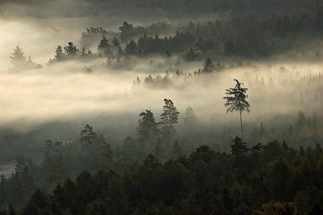 Private Bohemian Paradise n. park tour from Prague All-Inclusive