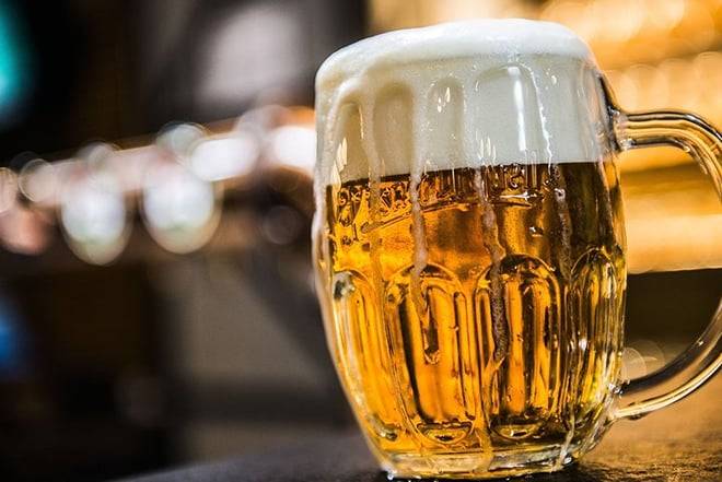 Pilsner brewery private day trip with family farm cheese tasting