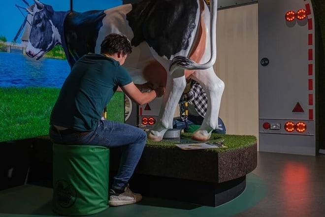 Gouda trip from Amsterdam by train with Gouda Cheese Experience