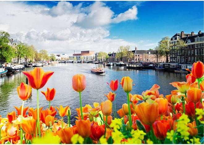1 Hour Amsterdam Canal Cruise with audio guide
