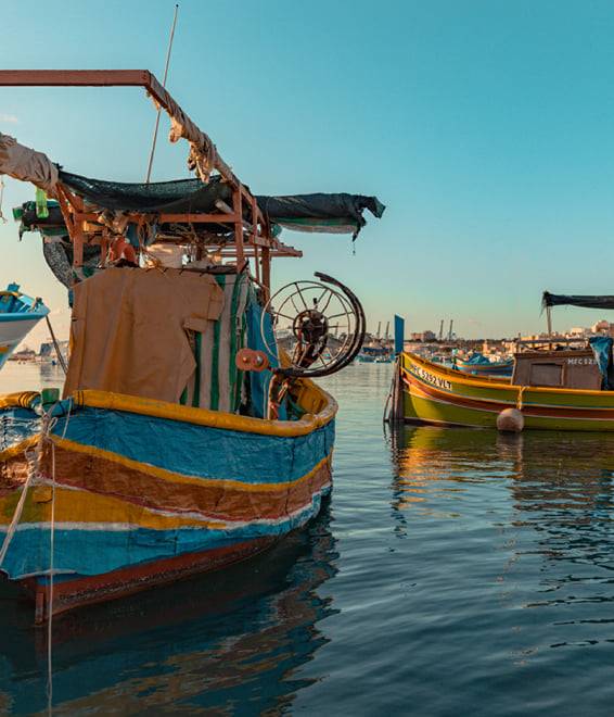 3-day Leisure Pass | Unlimited Hop-On Hop-Off Bus, Harbour Cruise and Entrance to Multiple Attractions