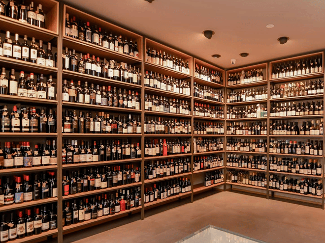 Wine Tasting with Food Pairings in Bari City Center