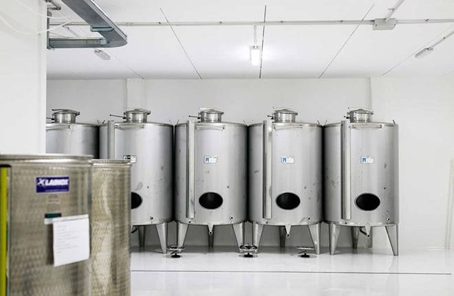 Olive Oil Mill Tour with Tasting near Molfetta & Bari