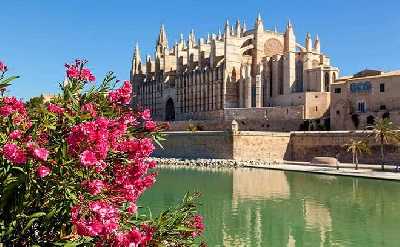 Hello Palma: Private 2-Hour Intro City Walk with Local Guide